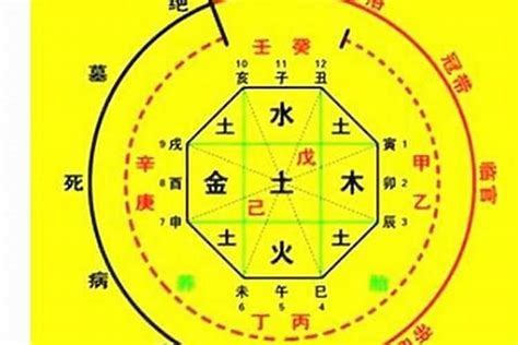 八字日元強弱|八字命理（8）